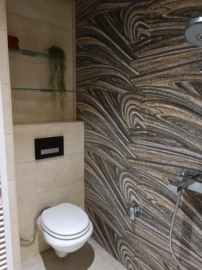 Double Room & Private Bathroom In Big Appartement Shared With Hosts Andorra la Vella Homestay